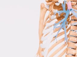 Spinal Alignment