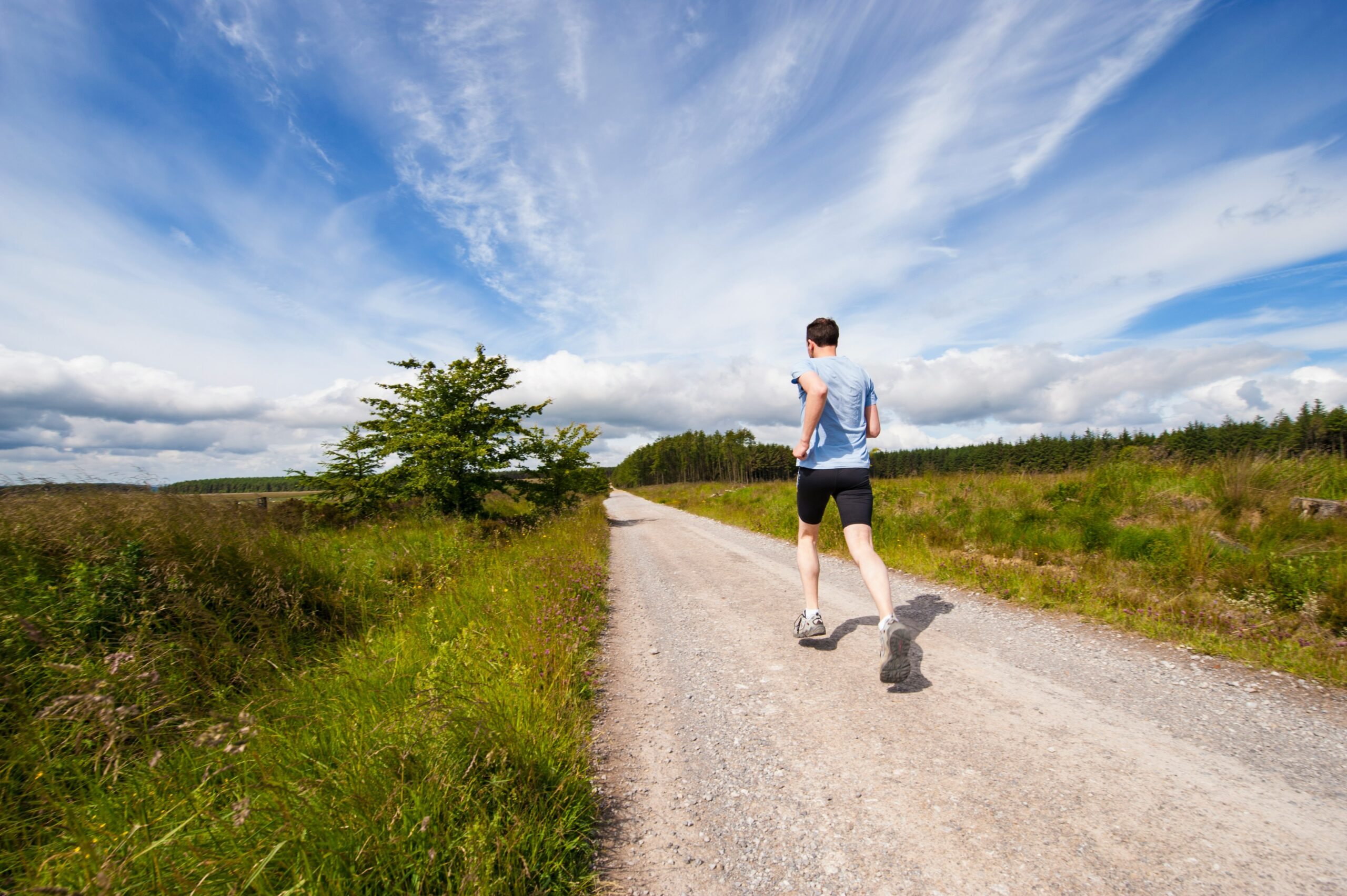 Health and Wellness