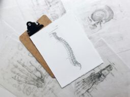Ancient Healing Principles in Modern Chiropractic Care for Whole-Body Wellness