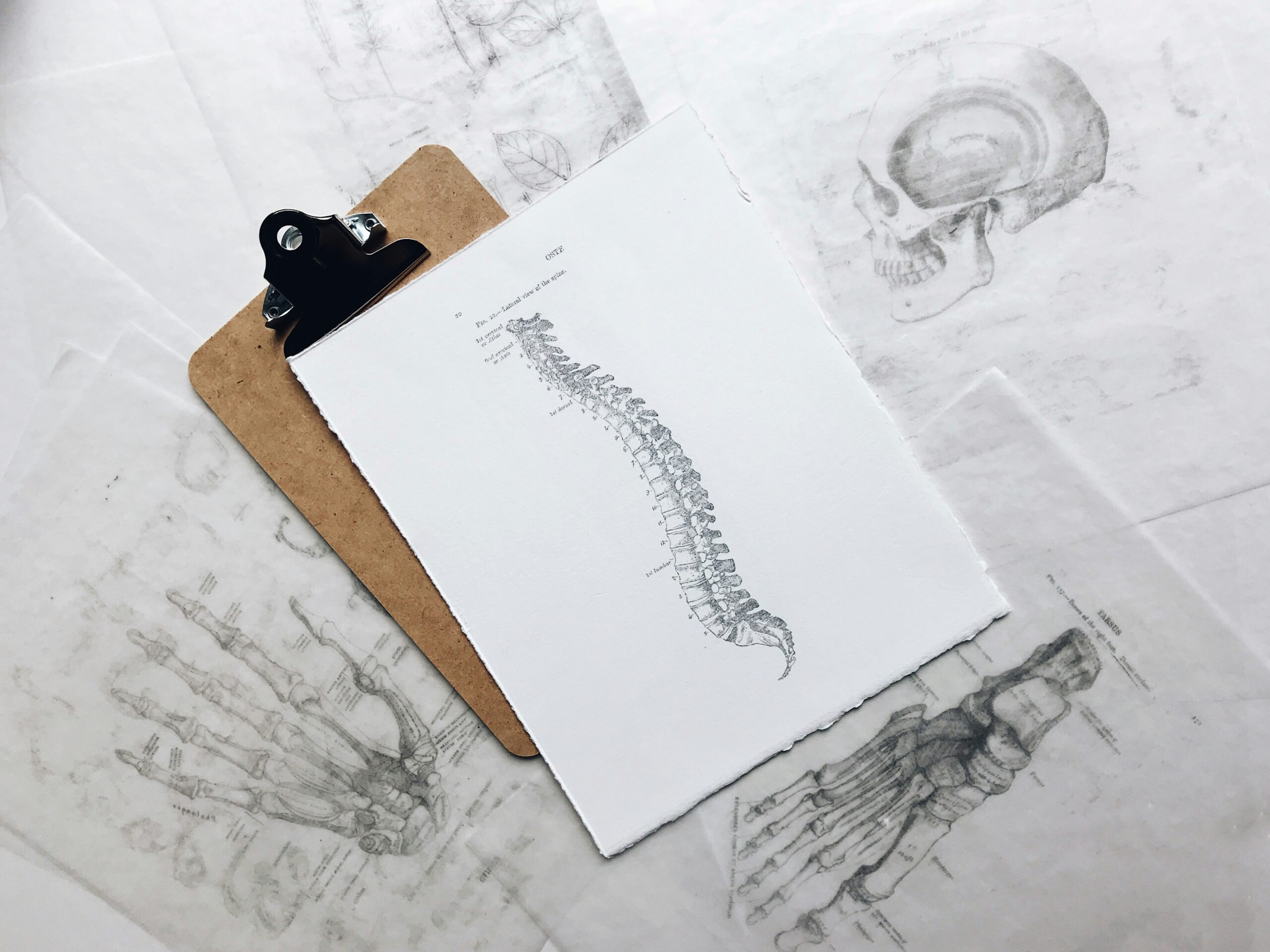 Ancient Healing Principles in Modern Chiropractic Care for Whole-Body Wellness